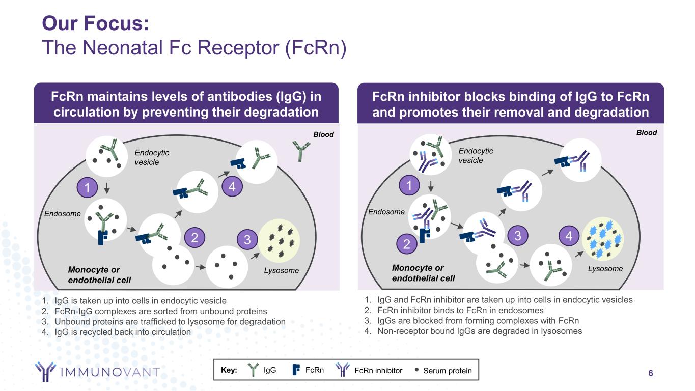 slide6